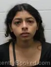 Mugshot of Joanna J Lopez booked in Washington County, Tennessee on August 8, 2026