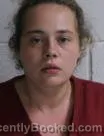 Mugshot of Sabre Montgomery Ellis booked in Washington County, Tennessee on August 8, 2026