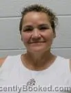 Mugshot of Carla S Bowers booked in Washington County, Tennessee on August 9, 2026