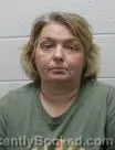 Mugshot of Jennifer Alice Baldridge booked in Washington County, Tennessee on August 9, 2026