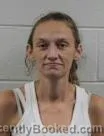 Mugshot of Kathy Elaine Raby booked in Washington County, Tennessee on September 25, 2026