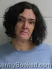 Mugshot of Lisa Renea Price booked in Washington County, Tennessee on October 9, 2026