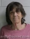 Mugshot of Mary Diane Priesmeyer booked in Washington County, Tennessee on October 10, 2026