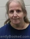 Mugshot of Tracy Michele Vines booked in Washington County, Tennessee on October 10, 2026
