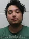 Mugshot of Jose Pena booked in Washington County, Tennessee on October 12, 2026