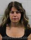 Mugshot of Diana Georgia Georgiou Akoury booked in Washington County, Tennessee on October 13, 2026