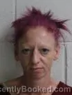 Mugshot of April Dawn Hixson booked in Washington County, Tennessee on August 25, 2026