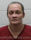Mugshot of Mandy Lynn Chase booked in Washington County, Tennessee on August 4, 2026