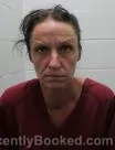Mugshot of Dana Renee Evans booked in Washington County, Tennessee on July 29, 2026