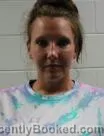 Mugshot of Jamie Lee Nunley booked in Washington County, Tennessee on July 31, 2026
