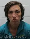 Mugshot of Tracy Michelle Arney booked in Washington County, Tennessee on September 15, 2026