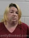 Mugshot of Jessica Christine Oliver booked in Washington County, Tennessee on October 3, 2026