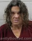 Mugshot of Kristi Dawn Nelson booked in Washington County, Tennessee on August 7, 2026