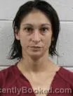 Mugshot of Angelica M Mayse booked in Washington County, Tennessee on September 29, 2026