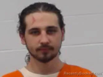 Booking photo from Wayne County, Tennessee