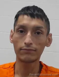 Booking photo from Wayne County, Tennessee