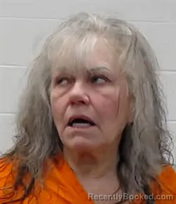 Mugshot of SHARILYN KAY YOUNG