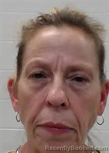 Mugshot of DONNA ANN BROWN