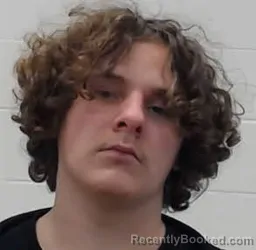 Mugshot of Journey Joshua Cody Lefan