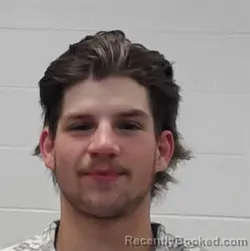 Mugshot of CHRISTOPHER CASH LINEBERRY