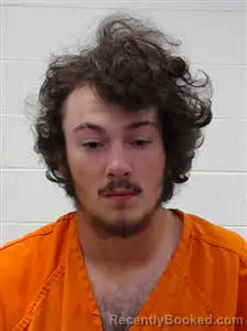 Mugshot of LOGAN MAX BREWER booked in Wayne County, Tennessee on March 25, 2026