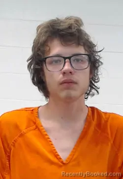 Mugshot of DOMINIQUE STEPHON RAY REEVES booked in Wayne County, Tennessee on April 1, 2026