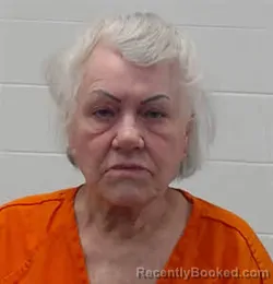 Mugshot of SHARILYN KAY YOUNG booked in Wayne County, Tennessee on April 8, 2026