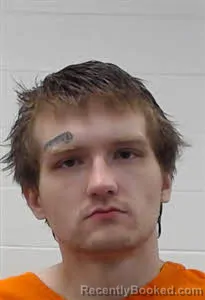 Mugshot of Harvey Keith Williams booked in Wayne County, Tennessee on April 15, 2026