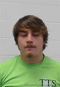 Mugshot of WILLIAM ROBERT MURPHY booked in Wayne County, Tennessee on April 24, 2026