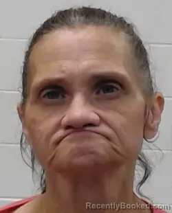 Mugshot of DONNITA ATKINSON booked in Wayne County, Tennessee on April 28, 2026