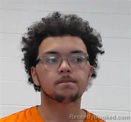 Mugshot of CAMERON TERELL ROBINSON booked in Wayne County, Tennessee on May 13, 2026