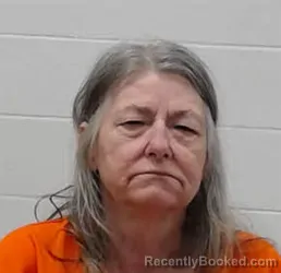 Mugshot of HELEN MARIE DAVIS booked in Wayne County, Tennessee on June 4, 2026