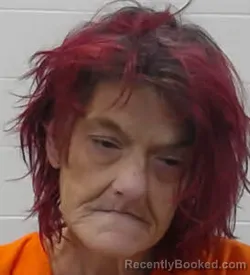 Mugshot of CINDY RAE KILBURN booked in Wayne County, Tennessee on June 12, 2026