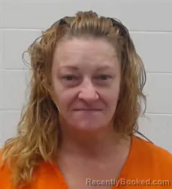 Mugshot of DAWN MARIE CROPPER-BROWN booked in Wayne County, Tennessee on June 13, 2026
