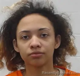Booking photo from Wayne County, Tennessee