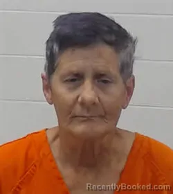 Mugshot of CATHERINE LYNN BRITT booked in Wayne County, Tennessee on June 22, 2026