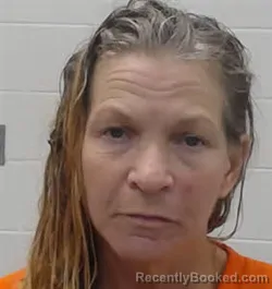 Mugshot of MELISSA ANN STAGGS booked in Wayne County, Tennessee on June 28, 2026