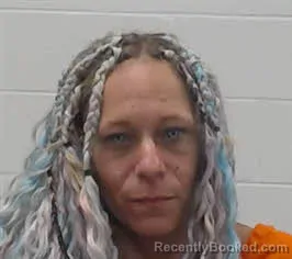 Mugshot of JAMMIE ELICE HOLMES booked in Wayne County, Tennessee on July 1, 2026