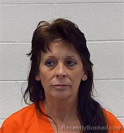 Mugshot of TERI FANESSA KELLY booked in Wayne County, Tennessee on July 26, 2026