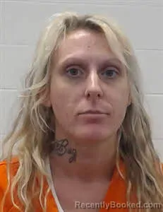 Mugshot of Heather Sherai Lee booked in Wayne County, Tennessee on September 8, 2026