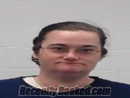 Booking photo from Wayne County, Tennessee