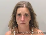 Mugshot of ALEXIS L BRITT booked in Wilson County, Tennessee on June 30, 2026