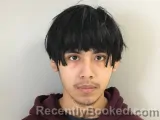 Mugshot of ARIAN R BARRERA