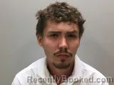 Mugshot of DAMON L BROWN booked in Wilson County, Tennessee on July 9, 2026