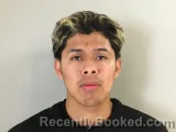 Mugshot of NICSON V CORTEZ-CASTRO