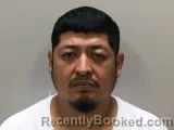Mugshot of Paulino R Depaz-Amira booked in Wilson County, Tennessee on August 15, 2026