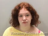 Mugshot of BRISTOL M FRANKLIN booked in Wilson County, Tennessee on April 28, 2026