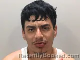 Mugshot of Hector D Flores booked in Wilson County, Tennessee on August 13, 2026