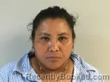 Mugshot of MARIA L FLORES-MEMBRENO booked in Wilson County, Tennessee on July 6, 2026