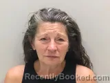 Mugshot of JULIE R HENDRIX booked in Wilson County, Tennessee on June 3, 2026